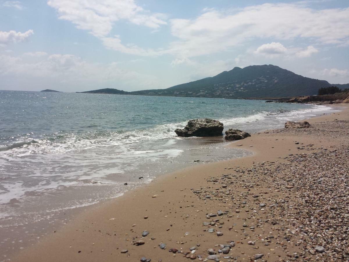 Smile House Near Athens Airport 300M From The Sea Villa Artemida  Buitenkant foto