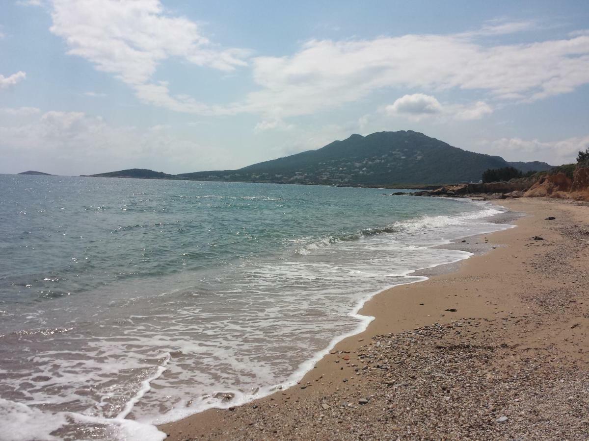 Smile House Near Athens Airport 300M From The Sea Villa Artemida  Buitenkant foto